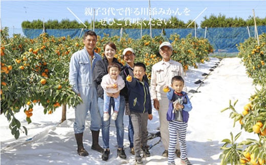 【12月上旬より配送開始☆特秀品】石地みかん 約8kg（傷み保証分300g含む）＜川添みかん園＞ [CCT008] みかん