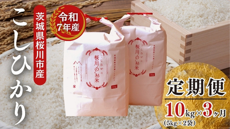 《 令和8年産 》 全3回 定期便 桜川市産 こしひかり 10kg × 3回 新米 先行予約 3ヶ月 茨城県 桜川市 米 お米 白米 コメ ごはん 精米 コシヒカリ 国産 限定 銘柄米 [SC053sa]