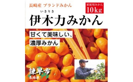 【先行予約】《伊木力みかん》家庭用みかん 10kg / みかん ミカン 蜜柑 フルーツ ふるーつ 果物 くだもの いきりき / 諫早市 / 山野果樹園 [AHCF001]