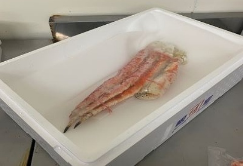 冷凍ボイルたらばがに脚700g～900g×1肩 C-60016