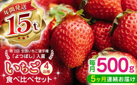 【先行予約】【2025年12月より順次発送】【全5回定期便】いちご 4品種 食べ比べ セット 250g×2P【なかはた農園】[YBI062]