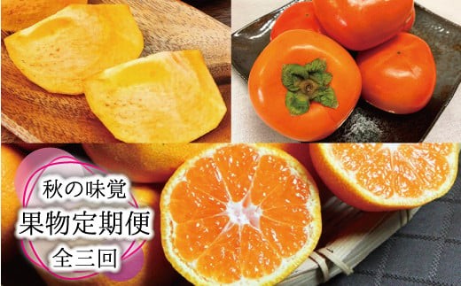 【３回定期便】【10・11・12月発送】秋の味覚 果物定期便　柿・みかん　旬のフルーツを毎月お届け♪【tkb130】