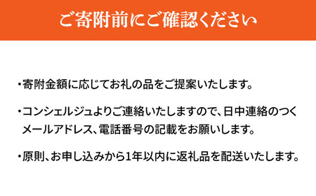 【高槻市コンシェルジュ】返礼品おまかせ！寄附額100万円コース 1000000円 チョコ 日用品 マッサージ 詰め合わせ プレゼント 内祝い お返し ギフト グルメ 食品 お取り寄せ おつまみ 高級[