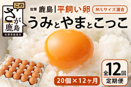 【定期便 12回】平飼い卵「うみとやまとこっこ」上田養鶏場 たまご20個 × 12ヶ月【合計240個】佐賀県鹿島産 卵 タマゴ I-32