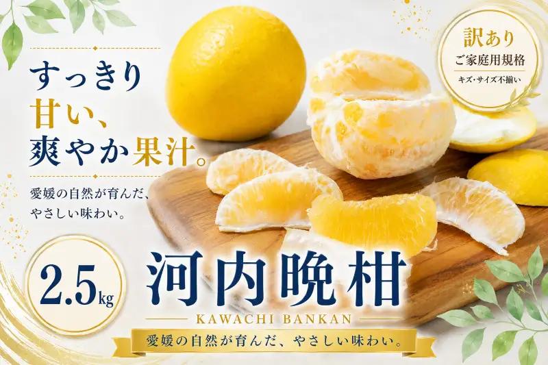 ＜訳あり 愛媛県産河内晩柑 合計約2.5kg＞『2027年3月下旬～7月上旬迄に順次出荷予定』 かわちばんかん ジューシー 甘い あまい 果汁 果物 くだもの フルーツ みかん オレンジ 柑橘 人気柑橘 特産品 株式会社OSN 愛媛県 西予市 【常温】OOS0049