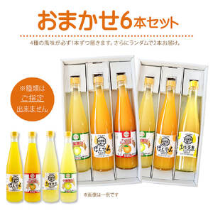 オレンジ園の濃縮ジュース 500ml おまかせ6本入り 希釈用 【R01122】