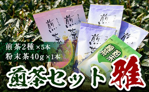 
                  No.014 煎茶セット(雅)国産 鹿児島 日置市 茶 緑茶【世献 榎園製茶】
                