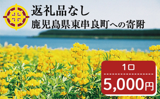 
【0054601a】＜返礼品なし＞鹿児島県本土でいちばん小さな町「東串良町」への寄附(1口：5,000円)
