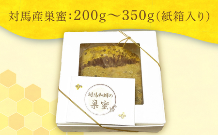 対馬 ニホンミツバチ 巣蜜 はちみつ 稀少 つしま 《対馬市》【特定非営利活動法人 對馬次世代協議会（対馬コノソレ）】九州 長崎 スイーツ トッピング 朝食 おやつ[WAM022] コダワリはちみつ 