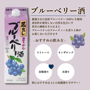 リキュール 4種 セット 梅 ゆず ブルーベリー あんず