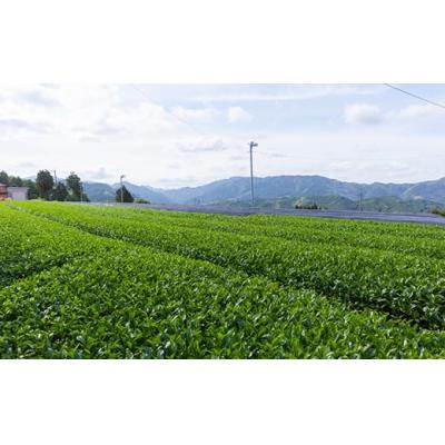 ふるさと納税 うきは市 堀江銘茶園 深蒸し茶80g×5袋セット |  | 03