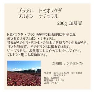 【上田珈琲豆焙煎堂】珈琲豆 中深煎り セット 200g×2種 セット ブラジルブルボン・グアテマラSHB【豆】 HNNBM007