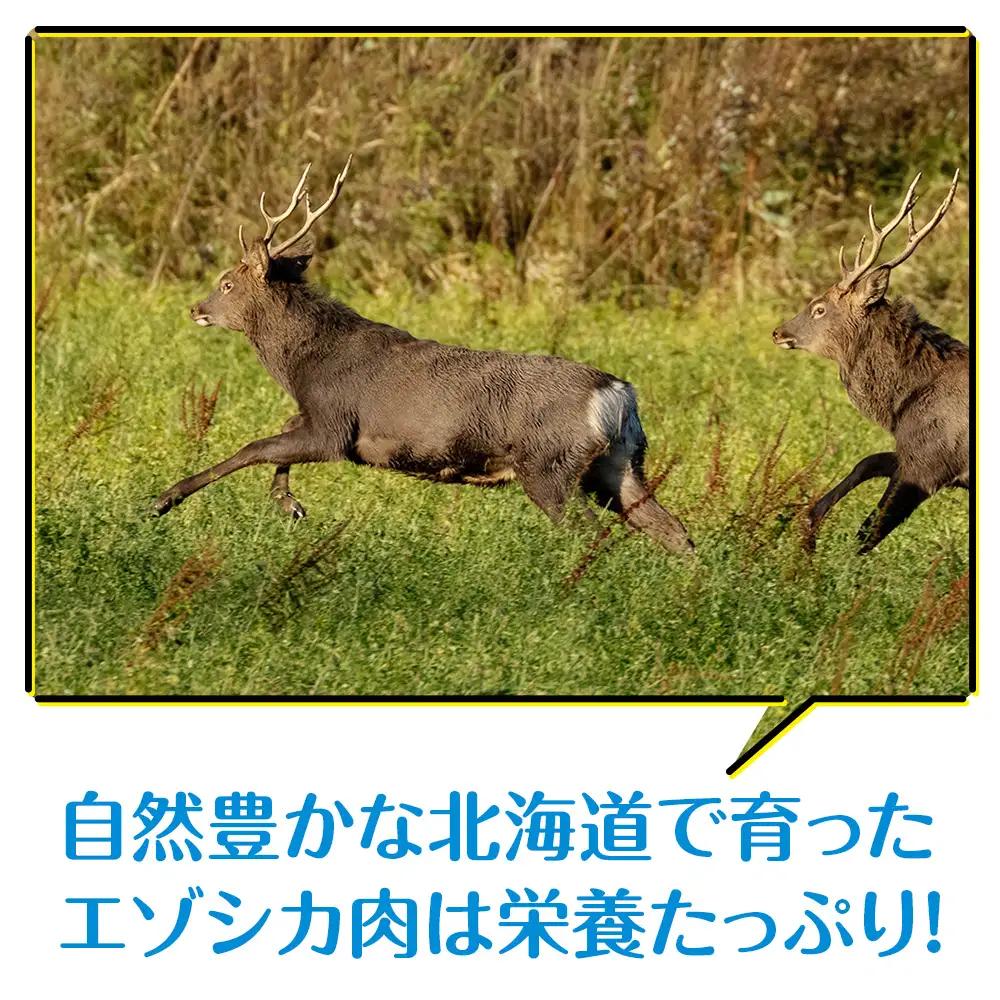 犬 おやつ 無添加 国産 エゾ鹿肉 ジャーキー (150g)