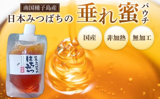 日本みつばちの垂れ蜜 パウチ180g×1【ハチミツ はちみつ 蜂蜜 垂れ蜜 百花蜜 非加熱 無加工 ミツバチ 蜜蜂 パウチ 調味料 お菓子 お菓子作り 料理 スイーツ 種子島産 鹿児島県産 国産 鹿児島県 種子島 中種子町 ふるさと納税 送料無料 BN03】