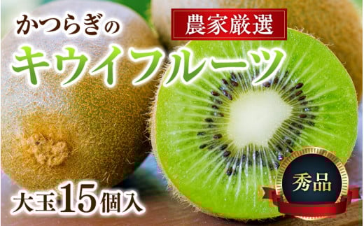 和歌山県産 秀品 キウイフルーツ 大玉15個入 こだわり農家厳選 先行予約 【2025年12月初旬頃から2026年1月中旬頃順次発送】 / キウイ フルーツ 果物 和歌山 秀品 贈答 大きい かつらぎ町 【KG28】