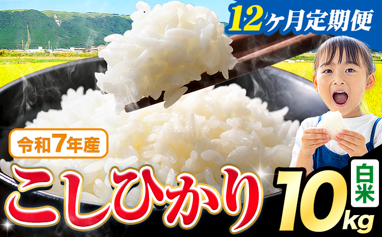 【12ヶ月定期便】令和7年産 米 白米 こしひかり 10kg《お申込み翌月から出荷》熊本県産 ふるさと納税 白米 精米 ひの 米 こめ ふるさとのうぜい コシヒカリ コメ お米 おこめ---reihoku_loc_457_mo12---