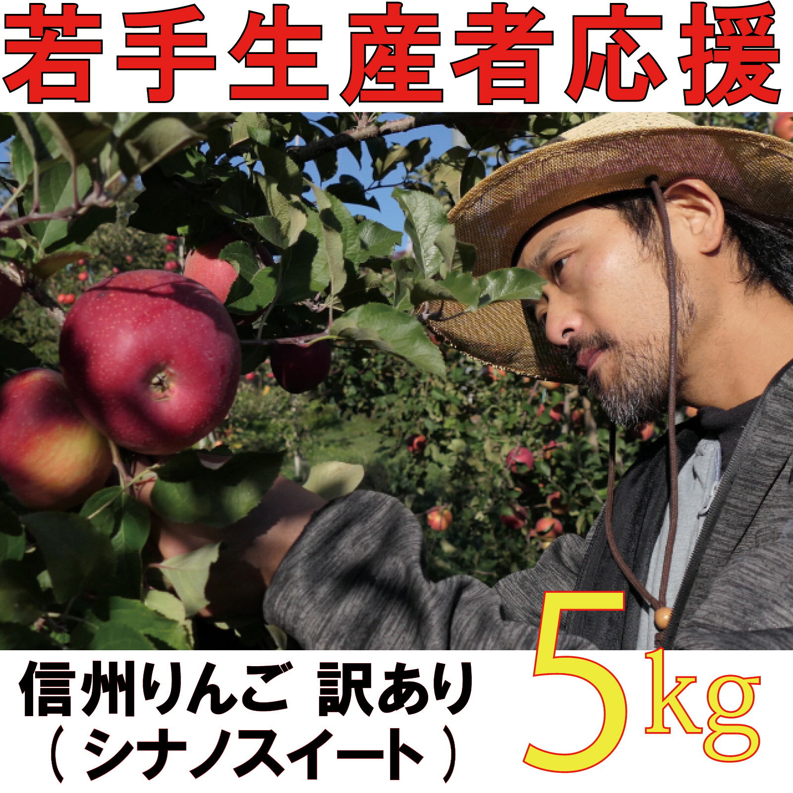 【ふるさと納税】【2026年 先行予約 令和8年産】 訳あり りんご 5kg 【若手生産者応援】 シナノスイート 伊藤 快 果物 フルーツ 先行 予約 信州 麻績村 不揃い 規格外 家庭用