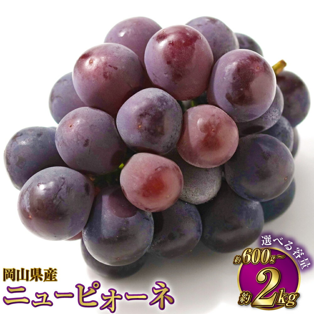 【ふるさと納税】【選べる容量】岡山県産 ニューピオーネ 約600g～約2kg ピオーネ ぶどう ブドウ 葡萄 果物 くだもの フルーツ 種なし 大粒 高糖度 冷蔵 お取り寄せ 国産 岡山県 奈義町 送料無料 【2025年8月下旬～9月下旬迄発送予定】