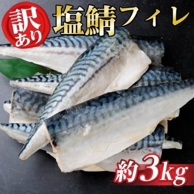 
            ＜訳あり＞ノルウェー産　塩さば　フィレ　約3kg【1700382】
          