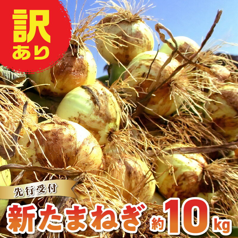 【ふるさと納税】【先行予約】 訳あり 新たまねぎ 玉ねぎ 約 10kg 令和8年4月出荷 オーガニック 栽培期間中 農薬 化学肥料 不使用 安心 安全 野菜 サラダ オニオンスープ お取り寄せ 熊本県 天草市 送料無料