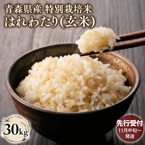 ≪令和8年産 先行予約≫11月中旬よりお届け! 　特別栽培米 はれわたり玄米30kg(10kg×3袋)【青森県 平川市】先行予約 米 お米 玄米 青森県産 産地直送 おにぎり 朝ご飯 冷めてもおいしい ご飯  コメ こめ 白米 ごはん ブランド米 特A 特A米 お取り寄せ グルメ