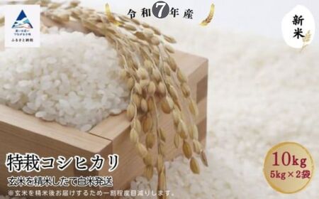 特栽コシヒカリ玄米10kg（5kg×2袋）精米したて白米発送 こしひかり au002m03