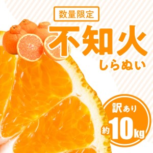 S086-007A_訳あり 不知火 約 10kg 数量限定〈先行予約〉