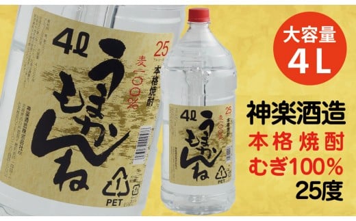 ビックサイズ！神楽酒造《うまかもんね》本格麦焼酎25度 4Ｌ<1.1-16>酒 焼酎 アルコール 大容量 西都市