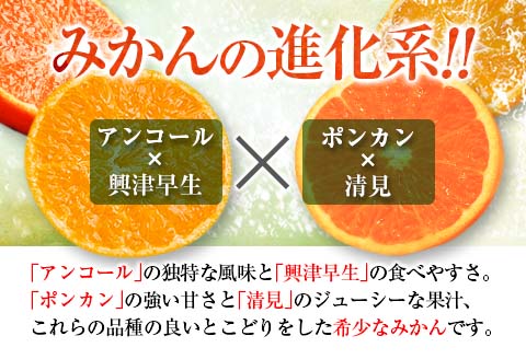 先行予約 訳あり 西南のひかり 5kg ご家庭用 みかん オレンジ フルーツ 果物 くだもの 柑橘 果実 果肉 デザート おやつ 国産 食品 おすそ分け おすそわけ 自宅用 人気 おすすめ 宮崎県 日