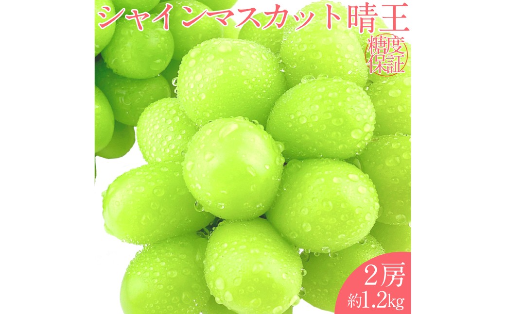 
            シャインマスカット 晴王 2房 約1.2kg【2026年7月下旬～8月下旬 発送予定】 【シャインマスカット マスカット ぶどう 葡萄 岡山県産 種無し 皮ごと食べる みずみずしい フレッシュ 温室栽培 晴れの国おかやま 果物大国 彩美菜果 岡山県 倉敷市 おすすめ 人気 】
          