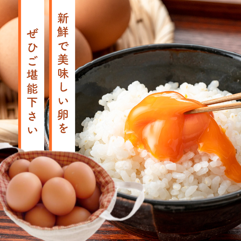 テトラエッグ(40個/月)【3ヵ月定期便】_イメージ4