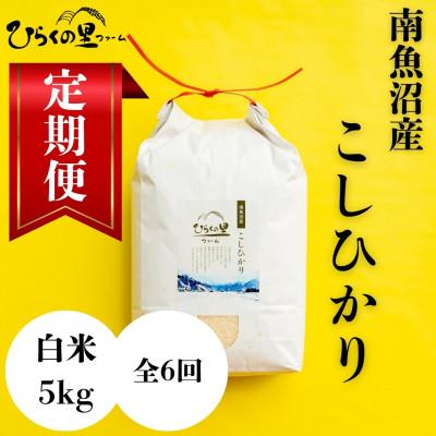 ふるさと納税 南魚沼市 【毎月定期便】もっちり甘い!南魚沼産コシヒカリ 白米5kg ひらくの里ファーム全6回