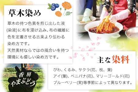 染物体験 香房やまぶどう《30日以内に順次出荷(土日祝除く)》熊本県 南阿蘇 体験 染物