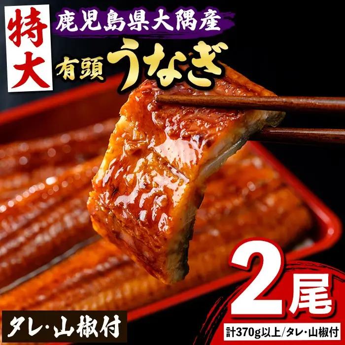 国産 鰻 蒲焼 2尾 計370g以上 うなぎ 鰻 有頭 特大【一般社団法人きもつき宇宙協議会】B57005