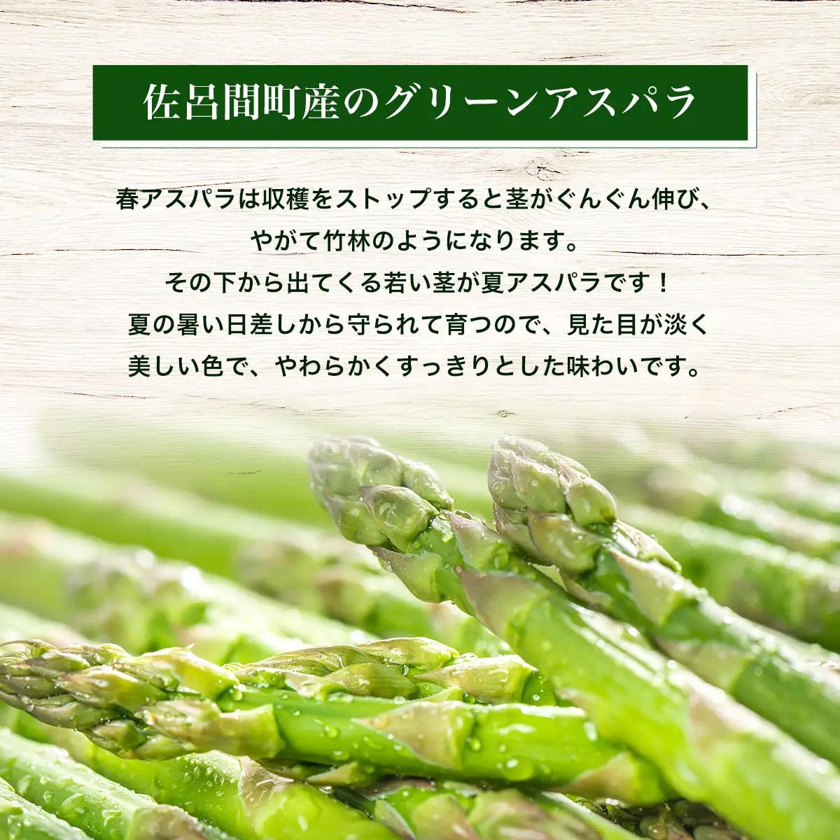 【先行受付】春採りグリーンアスパラ 1.5kg 2L以上 佐呂間町産（2027年3月末より順次発送予定） SRMM017
