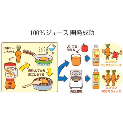 しあわせ人参ジュース(有機ニンジン100%ジュース)500ml×20本【配送不可地域:離島・沖縄県】【1666390】