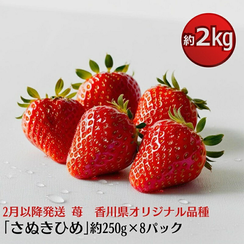 【ふるさと納税】【2月より発送開始】いちご「さぬきひめ」約2kg　【配送不可エリア】北海道、沖縄県、離島エリア 果物類／いちご／苺／イチゴ／フルーツ　 　お届け：2026年2月上旬～5月下旬