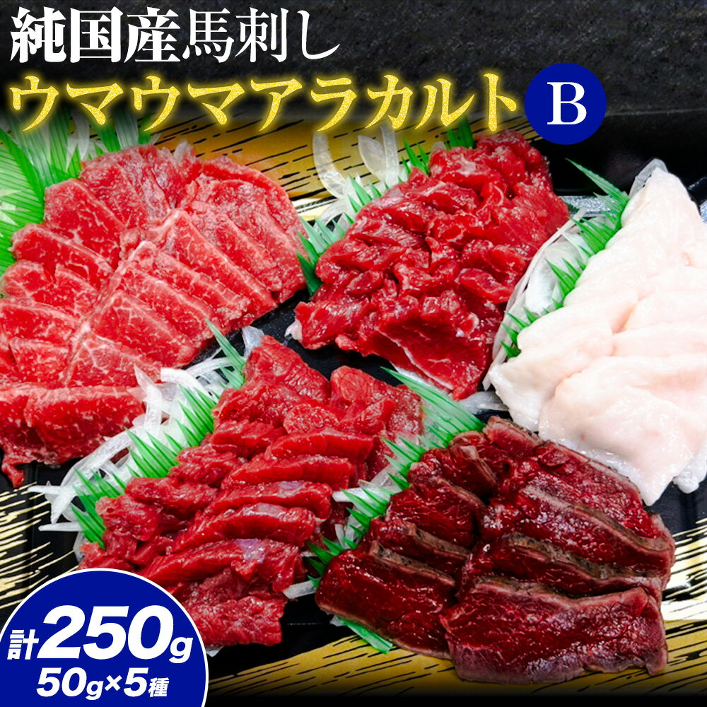 【ふるさと納税】馬刺し 純国産 ウマウマ アラカルト Bセット（たてがみ） 専用醤油付き 50g ×5種 計250g 有限会社九州食肉産業《90日以内に出荷予定(土日祝除く)》熊本県 産山村 純国産 馬刺し 国産 熊本肥育 馬刺 馬肉 詰め合わせ 贈答用 ギフト お中元 お歳暮