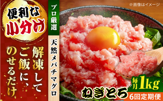 【全6回定期便】まぐろ ねぎとろ 約1kg（約250g×4パック）マグロ ねぎとろ 鮪 マグロ 魚 ネギトロ まぐろたたき 海鮮 海鮮丼 ねぎとろ巻き 小分け 横須賀【横須賀商工会議所 おもてなしギフト事務局（本まぐろ直売所 横須賀本店）】 [AKAK036]