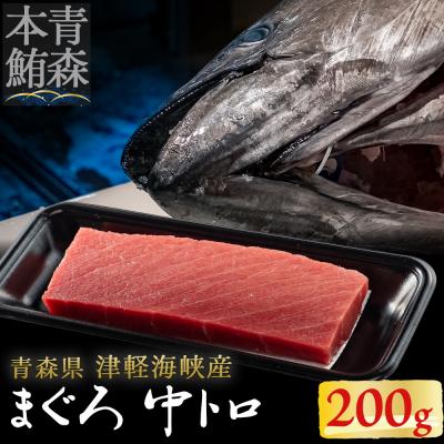 ふるさと納税 むつ市 【引き締まった旨味】津軽海峡産まぐろ(中トロ200g)