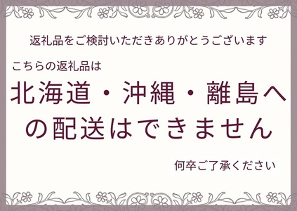 【ヴィンテージブラック】アンティーク風 無垢材 ガラスドア＜Dea-Sirio＞ ドア