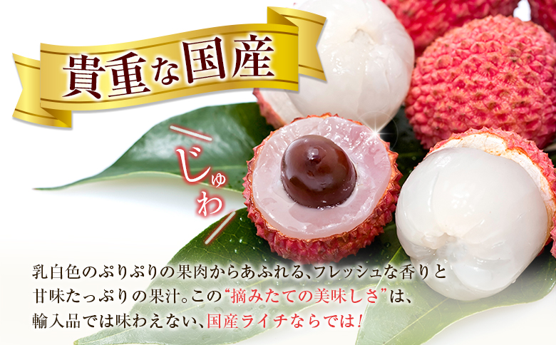 ＜数量限定＞新富町産 ライチ（約400g）国産 フルーツ 果物 贈答品【B704】