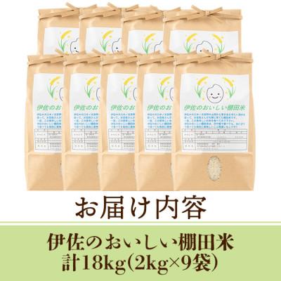 ふるさと納税 伊佐市 令和7年産 伊佐のおいしい棚田米 ヒノヒカリ(計18kg・2kg×9袋) |  | 03