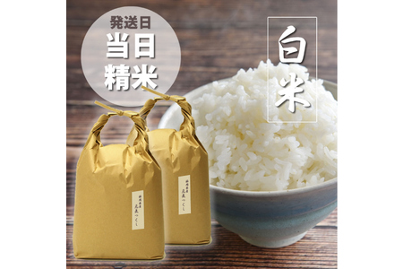 白米 精米 令和7年 元気つくし 5kg 2袋