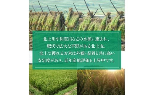 【 定期便 / 6ヶ月 】 令和8年産 新米 米 お米 ひとめぼれ 8kg（ 2kg ×4袋）小分け 定期 ブランド米 精米 白米 産地直送 国産 ライズみちのく販売 岩手県 北上市 P0129R0807