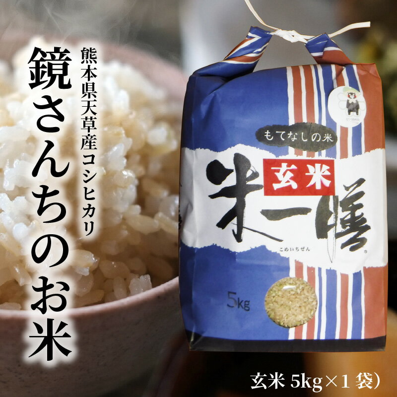 【ふるさと納税】令和7年産 コシヒカリ 5kg 玄米 新米 単一原料米 ごはん 米 おにぎり 米作り 熊本県 天草 お取り寄せ 食品 九州 故郷の味 常温 送料無料