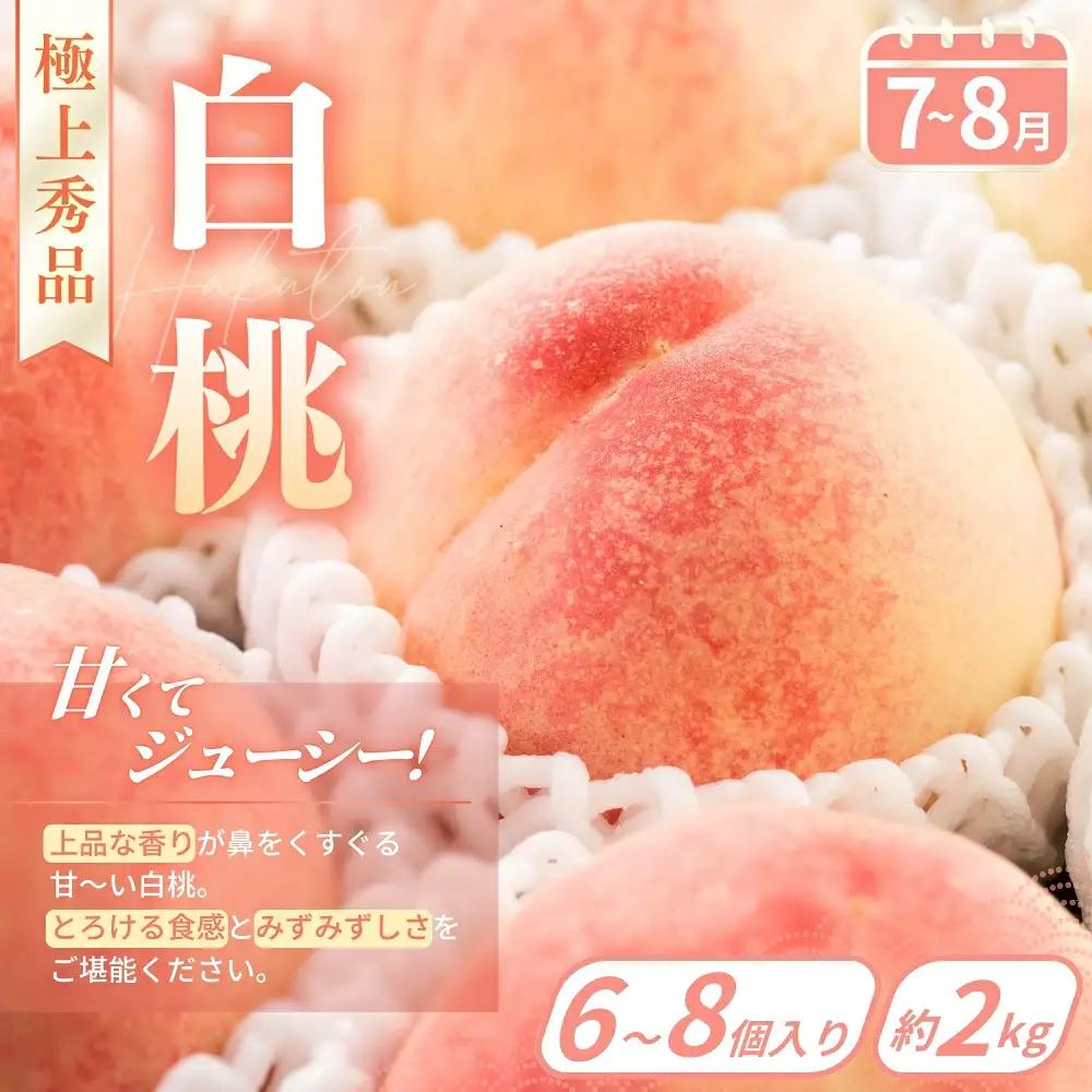 【フルーツ定期便・全4回】品質に自信あり！くしがきの里から直送　桃・シャインマスカット・はれひめ・まりひめを季節ごとにお届け♪ / 定期便 桃 もも みかん 柑橘 シャインマスカット マスカット いち