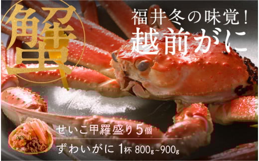 【先行予約！9月30日までの特別価格！！】【選べる個数！産地直送】福井冬の味覚！越前がに（ずわいがに活 1杯）800～900g ＆ せいこ甲羅盛り5個 [J-00908] / せいこ セイコガニ ズワイガニ ズワイ蟹 ずわい蟹 剥き身 脚 爪 脚 かにしゃぶ カニ鍋 蟹 お歳暮
