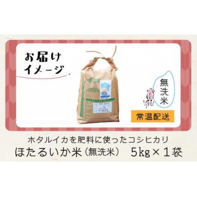 ふるさと納税 滑川市 【ほたるいか米】無洗米　5kg |  | 03