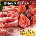 【ふるさと納税】【全12回定期便】【訳あり】博多和牛 しゃぶすき ＆ あまおう セット 1.3kg《築上町》【株式会社MEAT PLUS】196000円 [ABBP102]